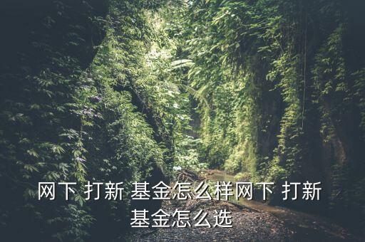 網(wǎng)下 打新 基金怎么樣網(wǎng)下 打新 基金怎么選