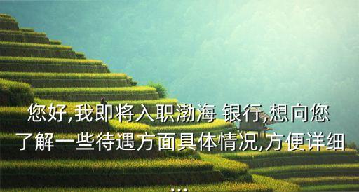 您好,我即將入職渤海 銀行,想向您了解一些待遇方面具體情況,方便詳細(xì)...