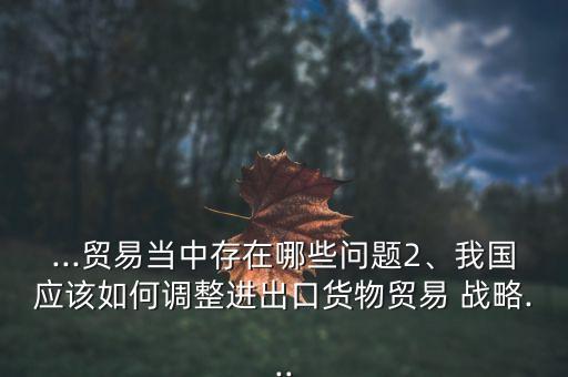 ...貿(mào)易當(dāng)中存在哪些問題2、我國應(yīng)該如何調(diào)整進(jìn)出口貨物貿(mào)易 戰(zhàn)略...