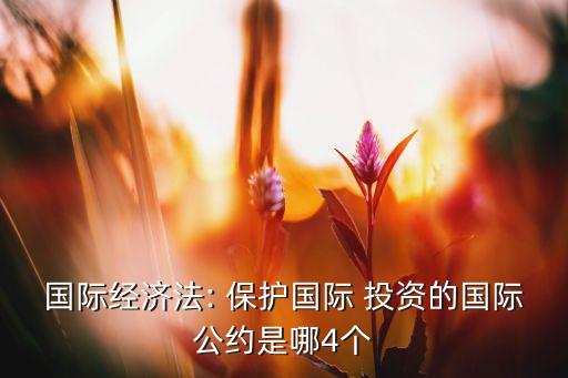 國際經(jīng)濟(jì)法: 保護(hù)國際 投資的國際公約是哪4個(gè)