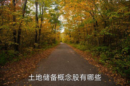 土地儲(chǔ)備概念股有哪些