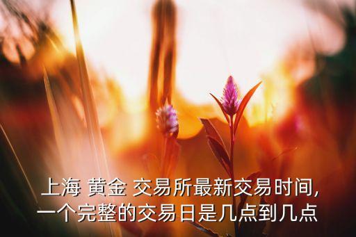  上海 黃金 交易所最新交易時(shí)間,一個(gè)完整的交易日是幾點(diǎn)到幾點(diǎn)