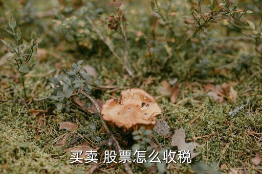 股票轉(zhuǎn)讓交稅費(fèi),公司股票賣出需要交多少的稅費(fèi)