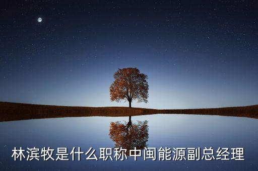 中閩風(fēng)電有限公司,中閩海上風(fēng)電有限公司待遇