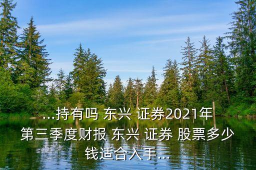 ...持有嗎 東興 證券2021年第三季度財報 東興 證券 股票多少錢適合入手...