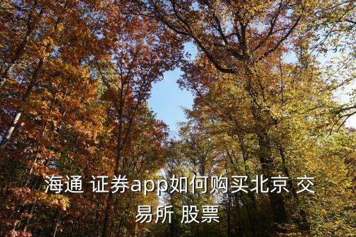  海通 證券app如何購買北京 交易所 股票