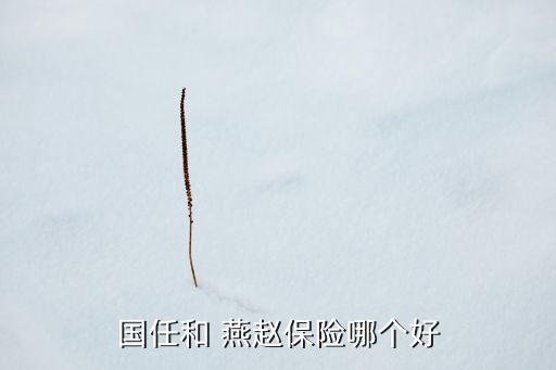 燕趙保險(xiǎn)公司