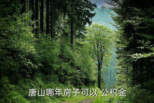 唐山何時能認北京公積金,唐山可以用北京公積金貸款買房嗎