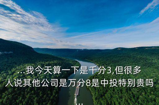 ...我今天算一下是千分3,但很多人說其他公司是萬分8是中投特別貴嗎...