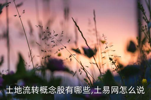 土地流轉(zhuǎn)概念股有哪些,土易網(wǎng)怎么說