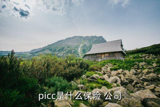 picc是什么保險 公司