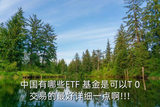 中國有哪些ETF 基金是可以T 0交易的最好詳細(xì)一點啊!!!