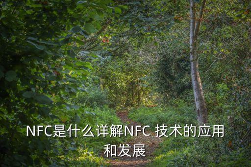 nfc移動支付技術(shù)上市公司,使用NFC技術(shù)實(shí)現(xiàn)的移動支付被稱為