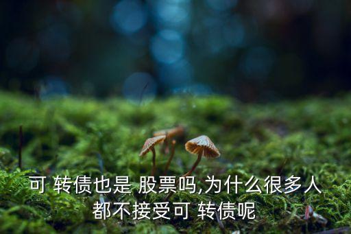 可 轉(zhuǎn)債也是 股票嗎,為什么很多人都不接受可 轉(zhuǎn)債呢