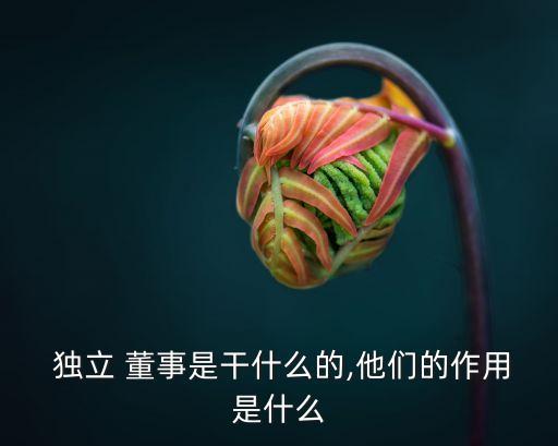  獨(dú)立 董事是干什么的,他們的作用是什么