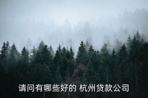 請(qǐng)問(wèn)有哪些好的 杭州貸款公司