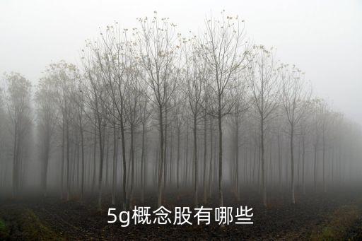 5g概念股有哪些