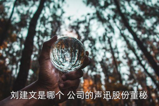 劉建文是哪個(gè) 公司的聲迅股份董秘