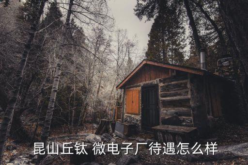 昆山西鈦微電子有限公司,昆山丘鈦微電子有限公司的詳細(xì)地址