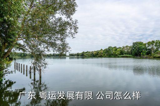 廣東 粵運(yùn)發(fā)展有限 公司怎么樣