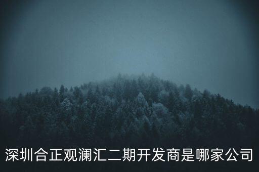 深圳合正觀瀾匯二期開發(fā)商是哪家公司