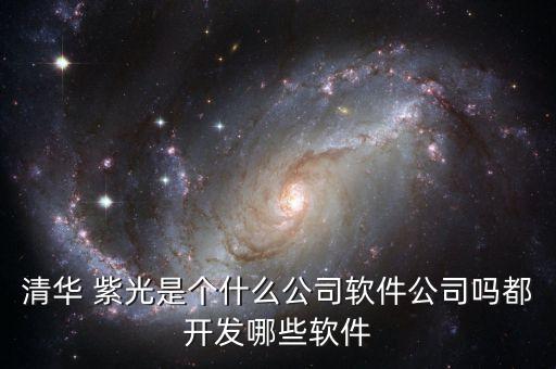 清華 紫光是個什么公司軟件公司嗎都開發(fā)哪些軟件