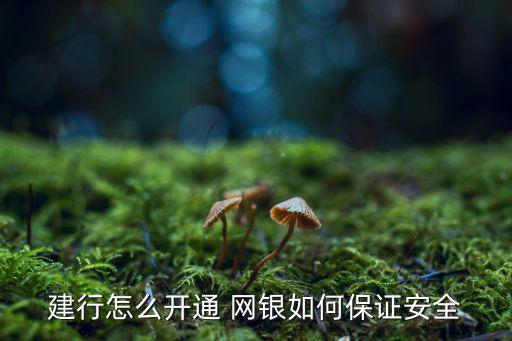 建行怎么開通 網(wǎng)銀如何保證安全