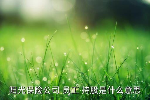 陽光保險(xiǎn)公司 員工 持股是什么意思