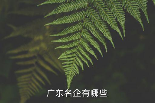 深圳市神州通地產置業(yè)有限公司