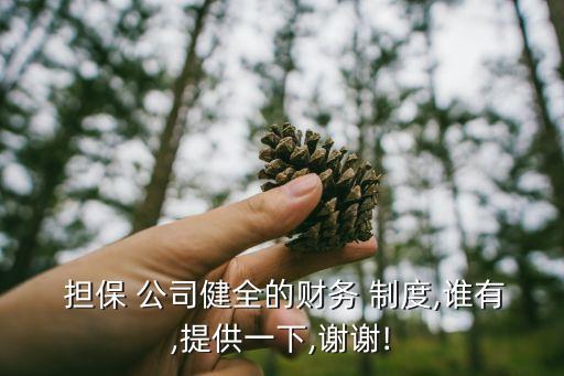  擔(dān)保 公司健全的財(cái)務(wù) 制度,誰(shuí)有,提供一下,謝謝!