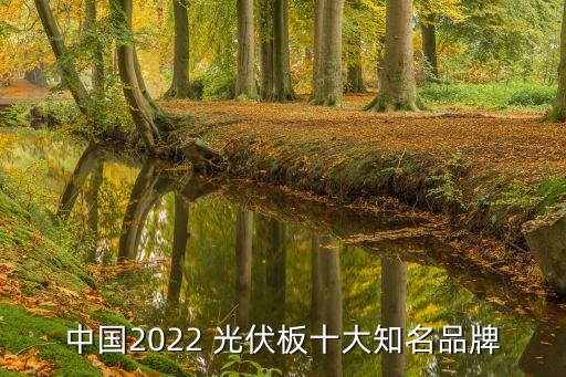 中國2022 光伏板十大知名品牌