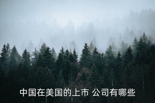 中國在美國的上市 公司有哪些