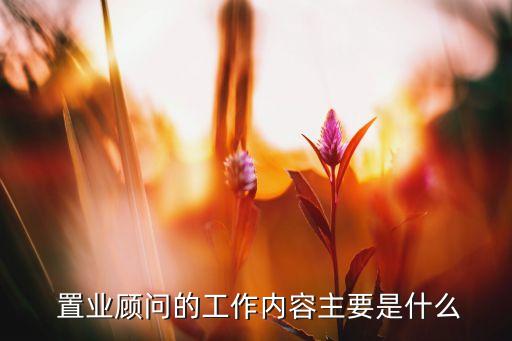  置業(yè)顧問的工作內容主要是什么