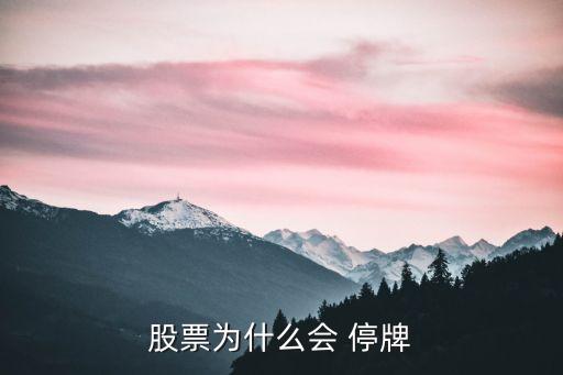 股票為什么會 停牌