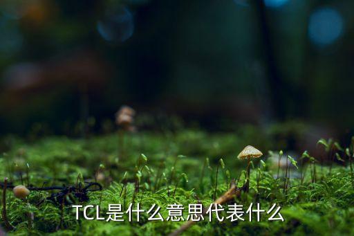 TCL集團為了,tcl集團招聘信息