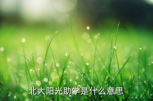 北大陽光助學是什么意思