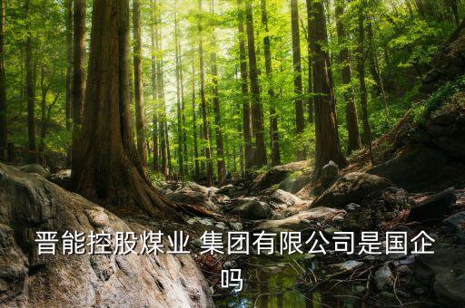  晉能控股煤業(yè) 集團有限公司是國企嗎