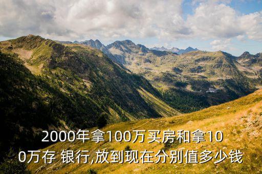  2000年拿100萬(wàn)買(mǎi)房和拿100萬(wàn)存 銀行,放到現(xiàn)在分別值多少錢(qián)