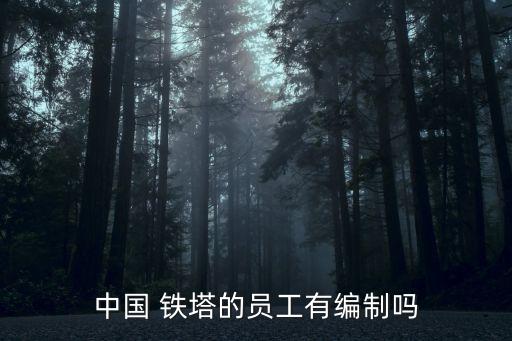 中國 鐵塔的員工有編制嗎