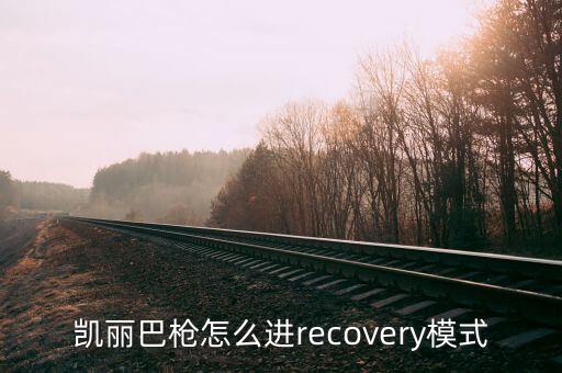 凱麗巴槍怎么進(jìn)recovery模式