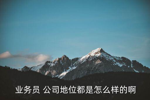  業(yè)務(wù)員 公司地位都是怎么樣的啊