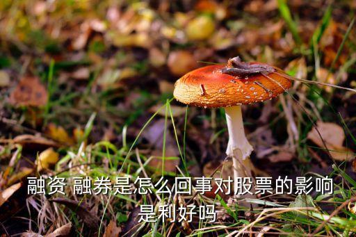 上市公司融資融券做什么