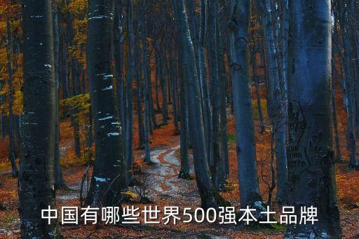 中國(guó)有哪些世界500強(qiáng)本土品牌