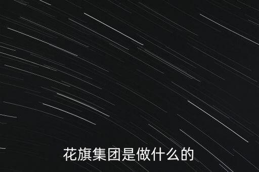 花旗集團是做什么的