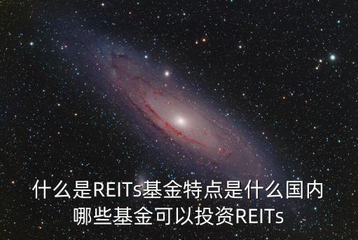 中國reits發(fā)展,REITs發(fā)展峰會