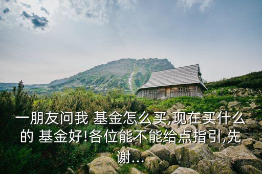 一朋友問(wèn)我 基金怎么買,現(xiàn)在買什么的 基金好!各位能不能給點(diǎn)指引,先謝...