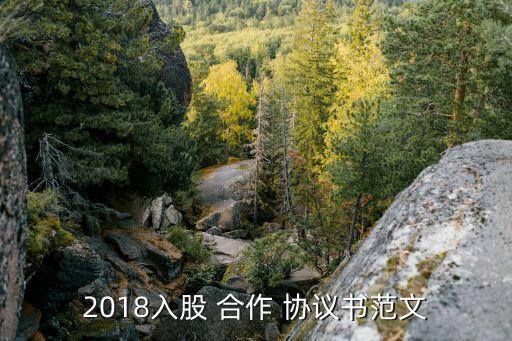 2018入股 合作 協(xié)議書范文