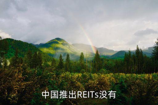 中國(guó)推出REITs沒有