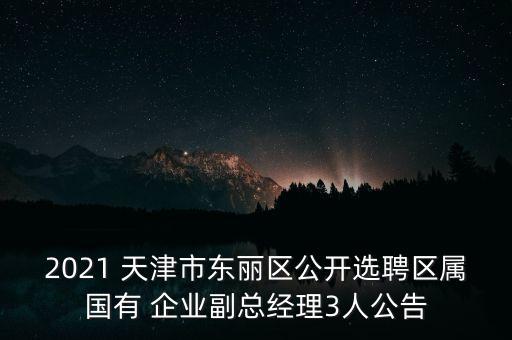 2021 天津市東麗區(qū)公開選聘區(qū)屬國有 企業(yè)副總經(jīng)理3人公告