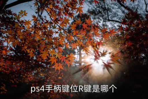 ps4手柄鍵位R鍵是哪個(gè)